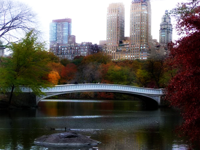 Bow Bridge in Central Park New York