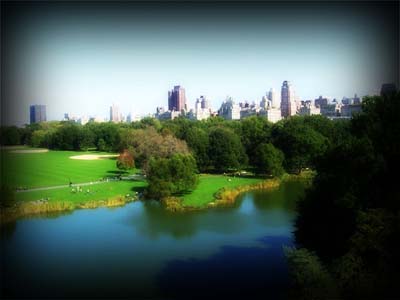 View from Belvedere Castle in Central Park  New York