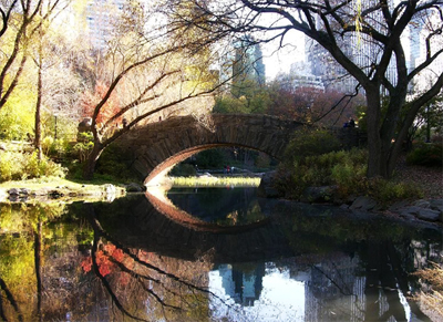 Weddings at the Gapstow Bridge in Central Park in New York