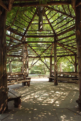 Cop Cot Wedding in Central Park | NYC Officiant