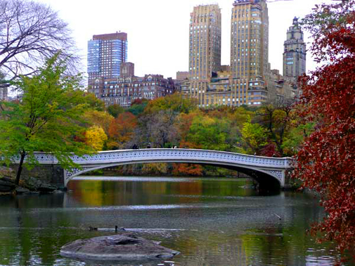 Bow Bridge wedding ceremony location in Central Park